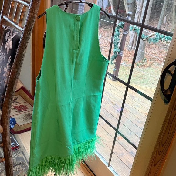J. Crew Collection Crepe Feather Trim Green Sleeveless Lined Sz M Dress NWT - Picture 7 of 14